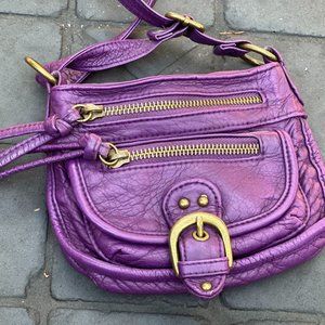 Small Purple Purse